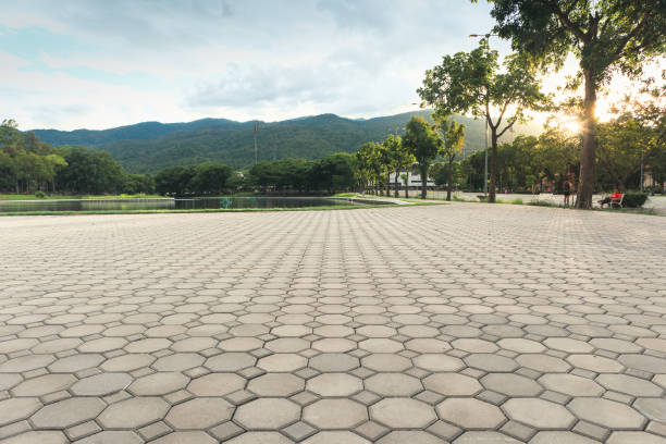 Best Cobblestone Driveway Pavers  in Winter Park, FL